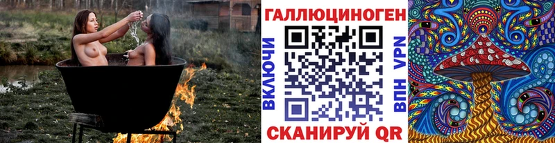 купить наркотики сайты  Ишимбай  площадка телеграм  Галлюциногенные грибы Psilocybine cubensis 