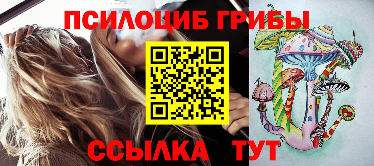 Галлюциногенные грибы Psilocybe  Вход с VPN  дарнет шоп  Ишимбай 